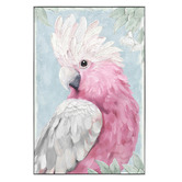 Sage Lane Galah-Palooza Framed Canvas Wall Art
