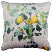 Sage Lane Lulu Velvet Cushion