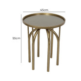 Sage Lane Vaila Side Table