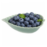 Sage Lane Parta Porcelain Bowls
