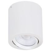 Globe Luxe Lighting Varsam 122mm LED 20W Tiltable Surface Mount Downlight