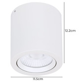 Globe Luxe Lighting Varsam 122mm LED 20W Tiltable Surface Mount Downlight