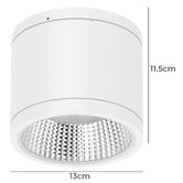 Globe Luxe Lighting Varsam 115mm LED 25W Surface Mount Downlight