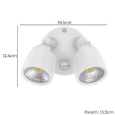 Globe Luxe Lighting Farah 2 Light Security