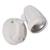 Globe Luxe Lighting Neriah LED Security Light