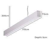 Globe Luxe Lighting Gaston Aluminium Cool White LED Pendant Light