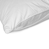Ardor Cooling Memory Foam Pillow