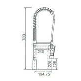 ECT Global Jamie Pin Handle Multifunction Kitchen Mixer with Diverter