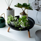 Yamazaki Kinsley 23cm Tray