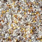 Brink &amp; Campman Mustard Young Hand-Tufted Pure New Wool Shag Rug