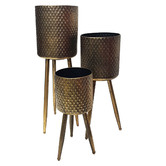 Temporal Living and Decor 3 Piece Arabesque Planter Set