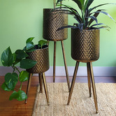 Temporal Living and Decor 3 Piece Arabesque Planter Set