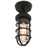 Extravagant Lighting Jewel Outdoor Ceiling Light
