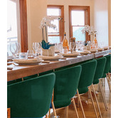 Exquisite Living Amaltheia Velvet Dining Chairs