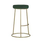 Exquisite Living 64cm Bellatrix Velvet Barstools