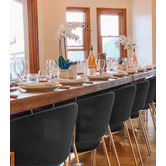 Exquisite Living Amaltheia Velvet Dining Chairs