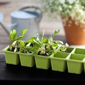 Keter Urban Bloomer Outdoor Planters