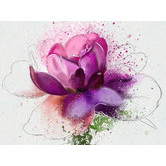 A La Mode Studio In Bloom Canvas Print