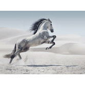A La Mode Studio Running Leap Horse Canvas Print