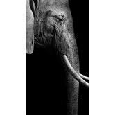 A La Mode Studio The Finest African Photographic Art Print Triptych