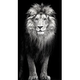 A La Mode Studio The Finest African Photographic Art Print Triptych