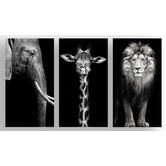A La Mode Studio The Finest African Photographic Art Print Triptych