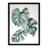 Alcove Studio Zulu Monstera Framed Printed Wall Art