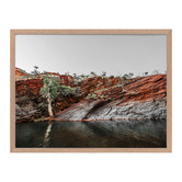 Alcove Studio By The Billabong Framed Printed Wall Art