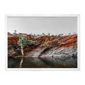 Alcove Studio By The Billabong Framed Printed Wall Art