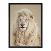 Alcove Studio Lion King Framed Printed Wall Art