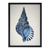 Alcove Studio Indigo Conch I Framed Printed Wall Art
