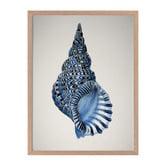 Alcove Studio Indigo Conch I Framed Printed Wall Art