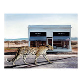 Alcove Studio Catwalk Canvas Wall Art