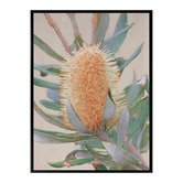 Alcove Studio Golden Banksia Canvas Wall Art