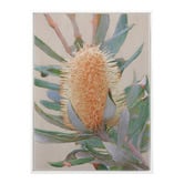Alcove Studio Golden Banksia Canvas Wall Art