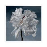 Alcove Studio Blomst Canvas Wall Art