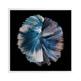 Alcove Studio Zeta Canvas Wall Art