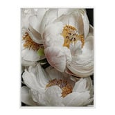 Alcove Studio Ivory Atlas Canvas Wall Art