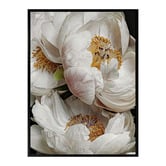 Alcove Studio Ivory Atlas Canvas Wall Art