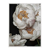 Alcove Studio Clair de Lune Canvas Wall Art
