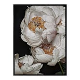 Alcove Studio Clair de Lune Canvas Wall Art