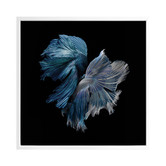 Alcove Studio Alpha Canvas Wall Art