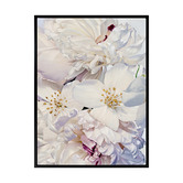 Alcove Studio Exquisite Canvas Wall Art