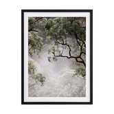 Alcove Studio Misty Gum Tree Framed Printed Wall Art