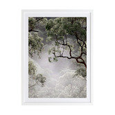 Alcove Studio Misty Gum Tree Framed Printed Wall Art