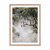 Alcove Studio Misty Gum Tree Framed Printed Wall Art