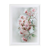 Alcove Studio Gum Tree Blossoms Framed Printed Wall Art