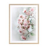Alcove Studio Gum Tree Blossoms Framed Printed Wall Art
