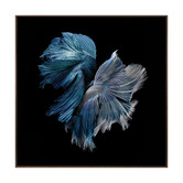 Alcove Studio Alpha Canvas Wall Art