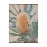 Alcove Studio Golden Banksia Canvas Wall Art